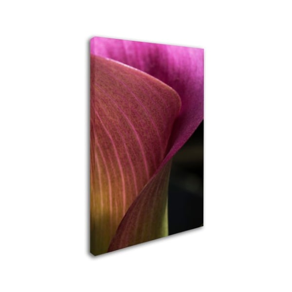 Kurt Shaffer 'Part Of A Calla Lily' Canvas Art,12x19